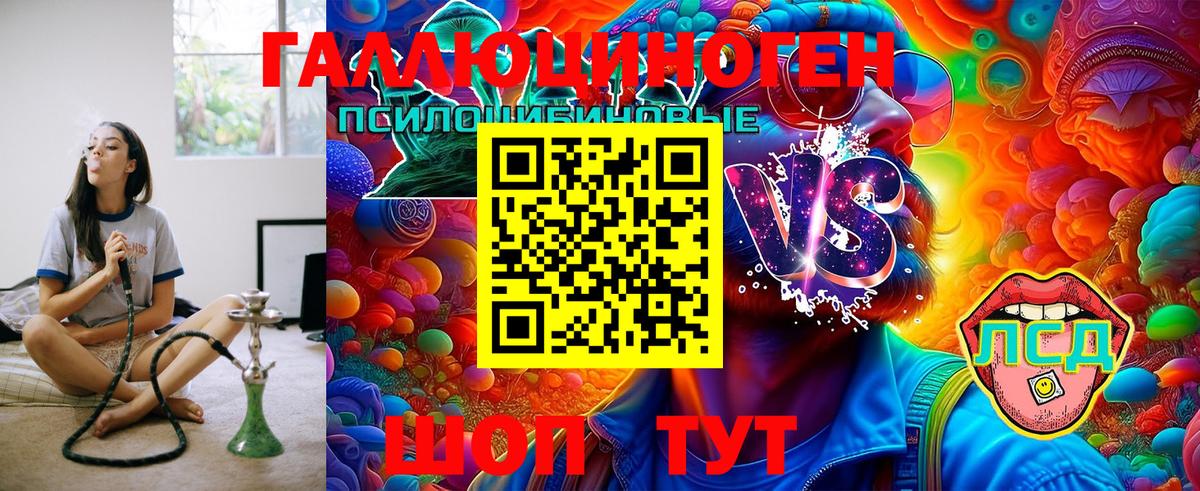 Галлюциногенные грибы Psilocybe  Вход с VPN  Саяногорск 